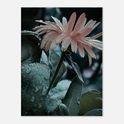 96afaf78-ca19-41f4-9f70-39dd27cb175c