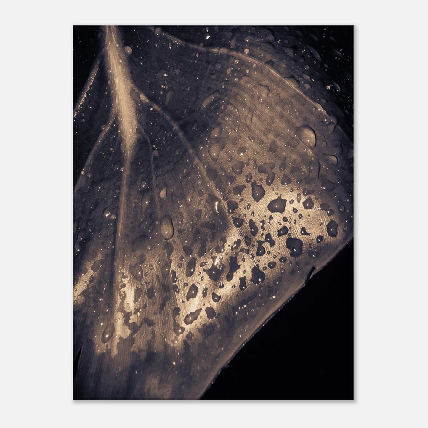 96d33861-eec1-4d75-be89-815046b465b4