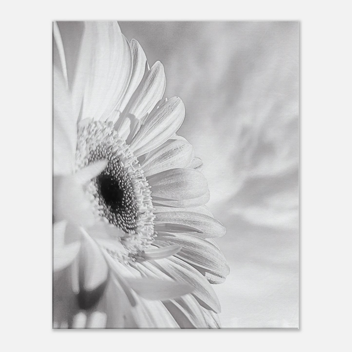 96d9923a-c00b-4d40-ab2b-90714c68c877