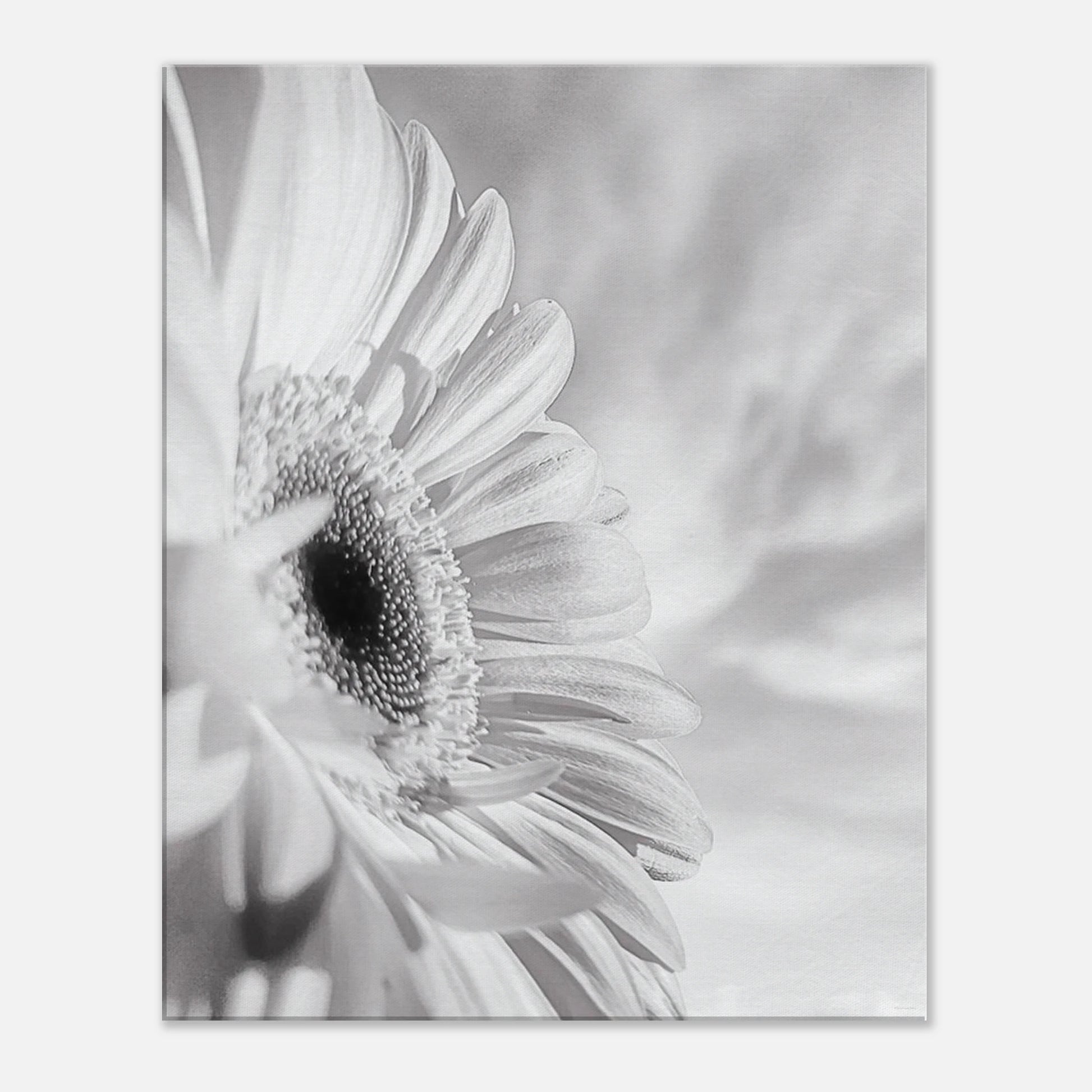 96d9923a-c00b-4d40-ab2b-90714c68c877