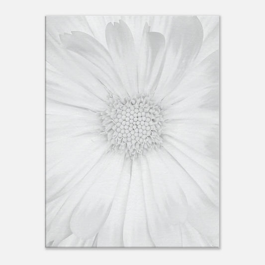 96e55728-18f6-40c3-ae9c-e13e124ec9a1