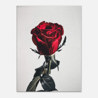 96ebc3ff-e766-4147-8739-bb5d58007b0a