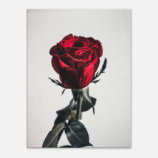 96ebc3ff-e766-4147-8739-bb5d58007b0a