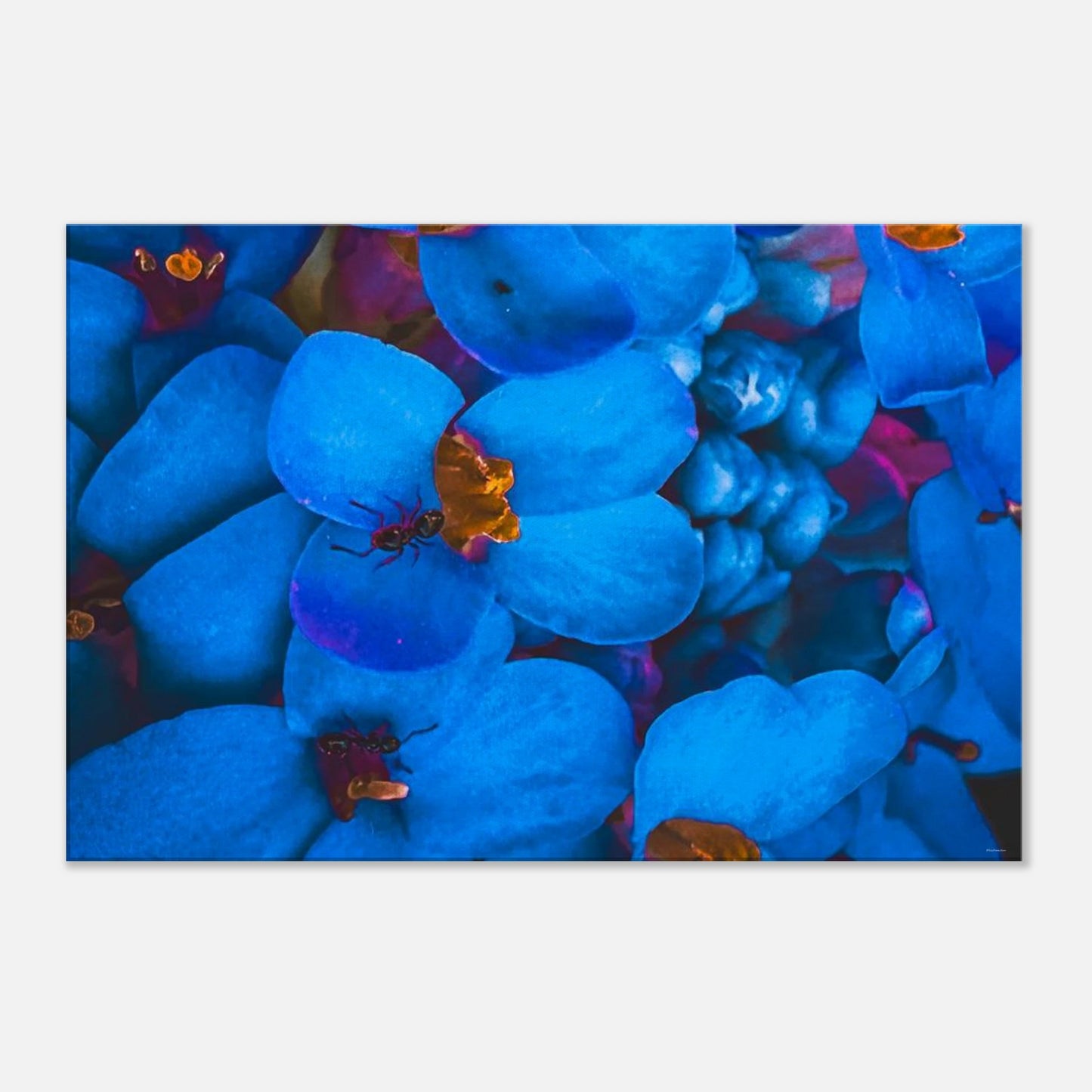 96f6c6b2-a0b7-4497-8f88-4b4a4a371388