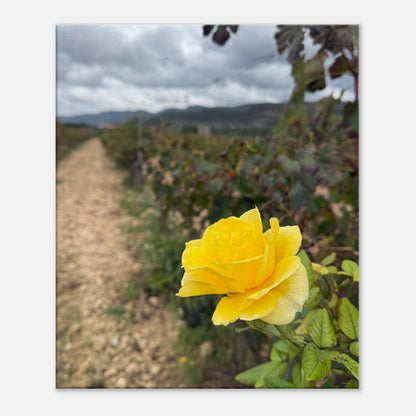 9708a30b-0a2e-40dd-a0c0-53e7b9489b98