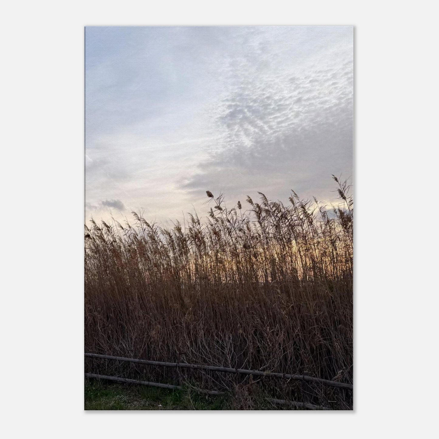 974f855a-b35e-47b0-b627-f9ea7f602e49