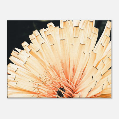 9764b7ca-9935-424f-9b90-340d61e29721