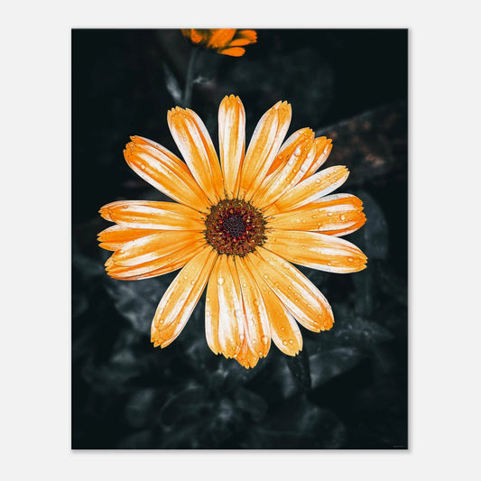 97688707-2b2f-4ab2-98fb-917388548ce0