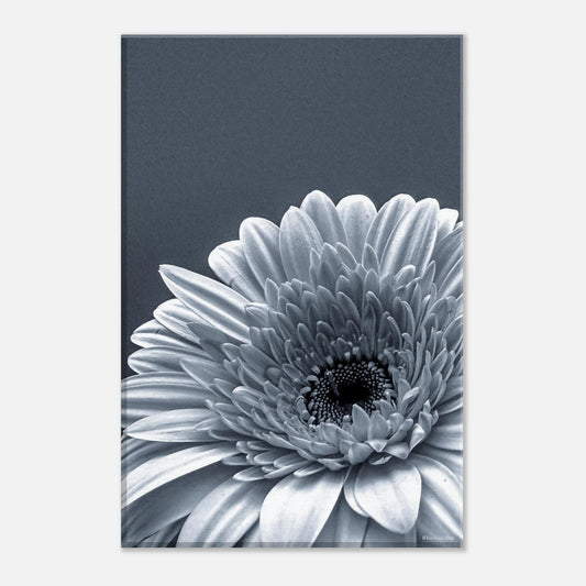 9781b019-9b47-494f-8f84-37aad0dacd94