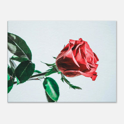 979c13a4-8d77-46e3-b215-6ddcf6ef3b88