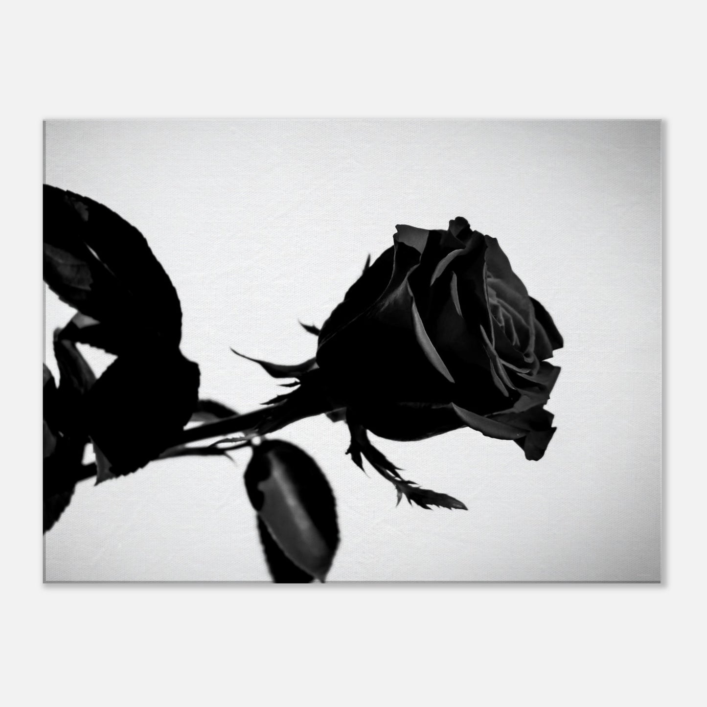 979fddd1-4714-4e53-9cfb-a002d13d6ae4
