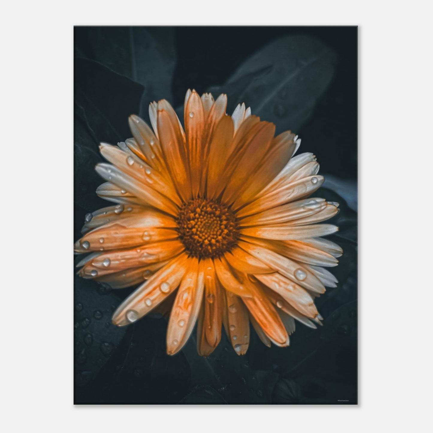 97f15ee5-8894-4318-ab3e-75a75b745c21