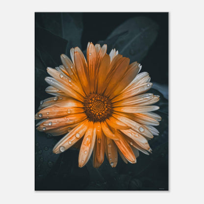 97f15ee5-8894-4318-ab3e-75a75b745c21