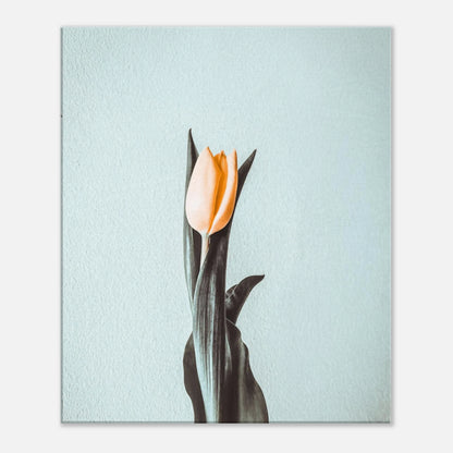 97f47f97-dd9d-4fbe-a5d1-17ec2e22a714