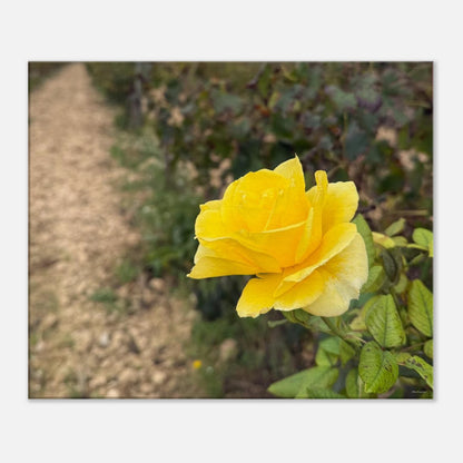 980fed39-8705-4597-a0d4-711f7322b46d