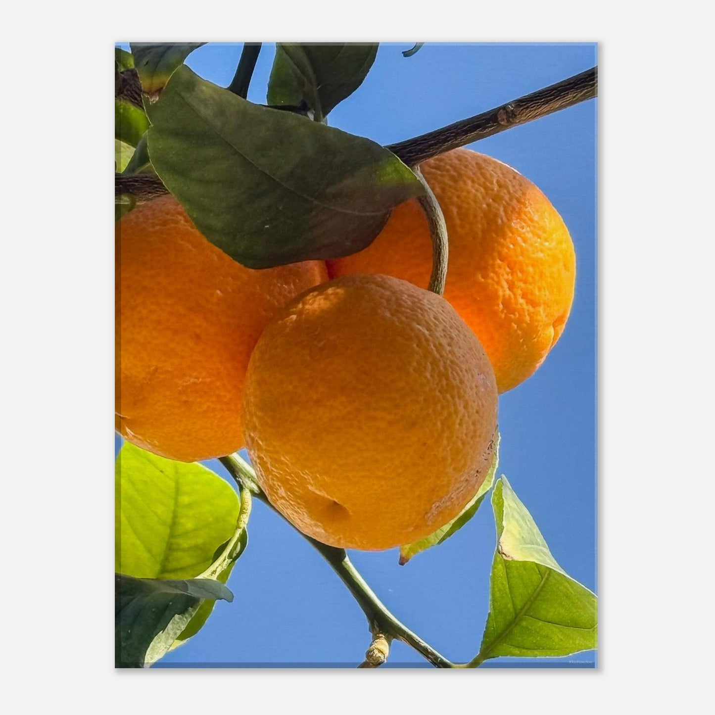 9815abb4-1faf-414a-9f87-2c622436589a