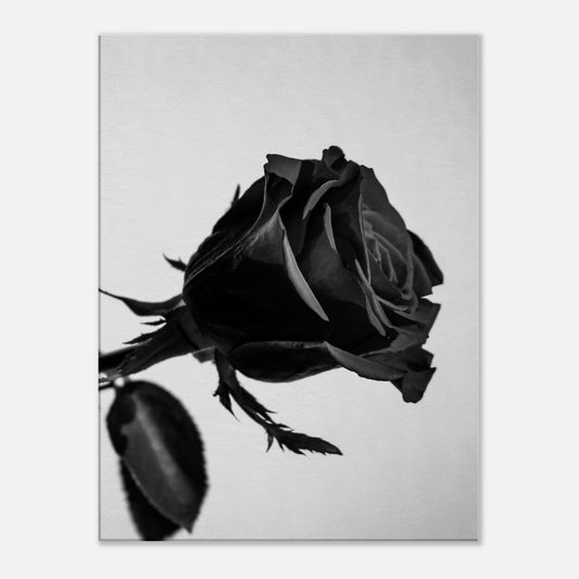 9816f398-6ab1-4c9d-b77a-c93fd8b00c62