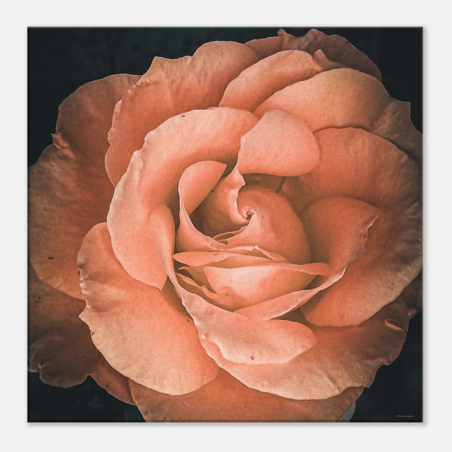 9817ea55-74ab-46dc-8e9e-9972d024dede