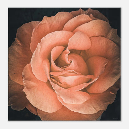 9817ea55-74ab-46dc-8e9e-9972d024dede