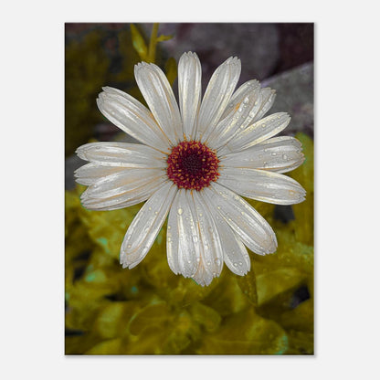 982931da-cab2-493b-a796-df0c85e8996d