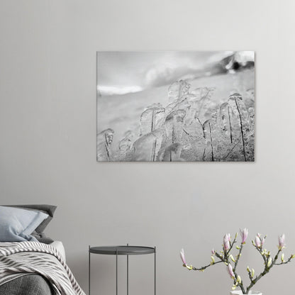 984e620c-66d2-42c3-baf0-e09820fe7b2b