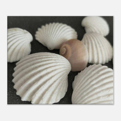 98598eca-e847-4588-9048-57342d0577db