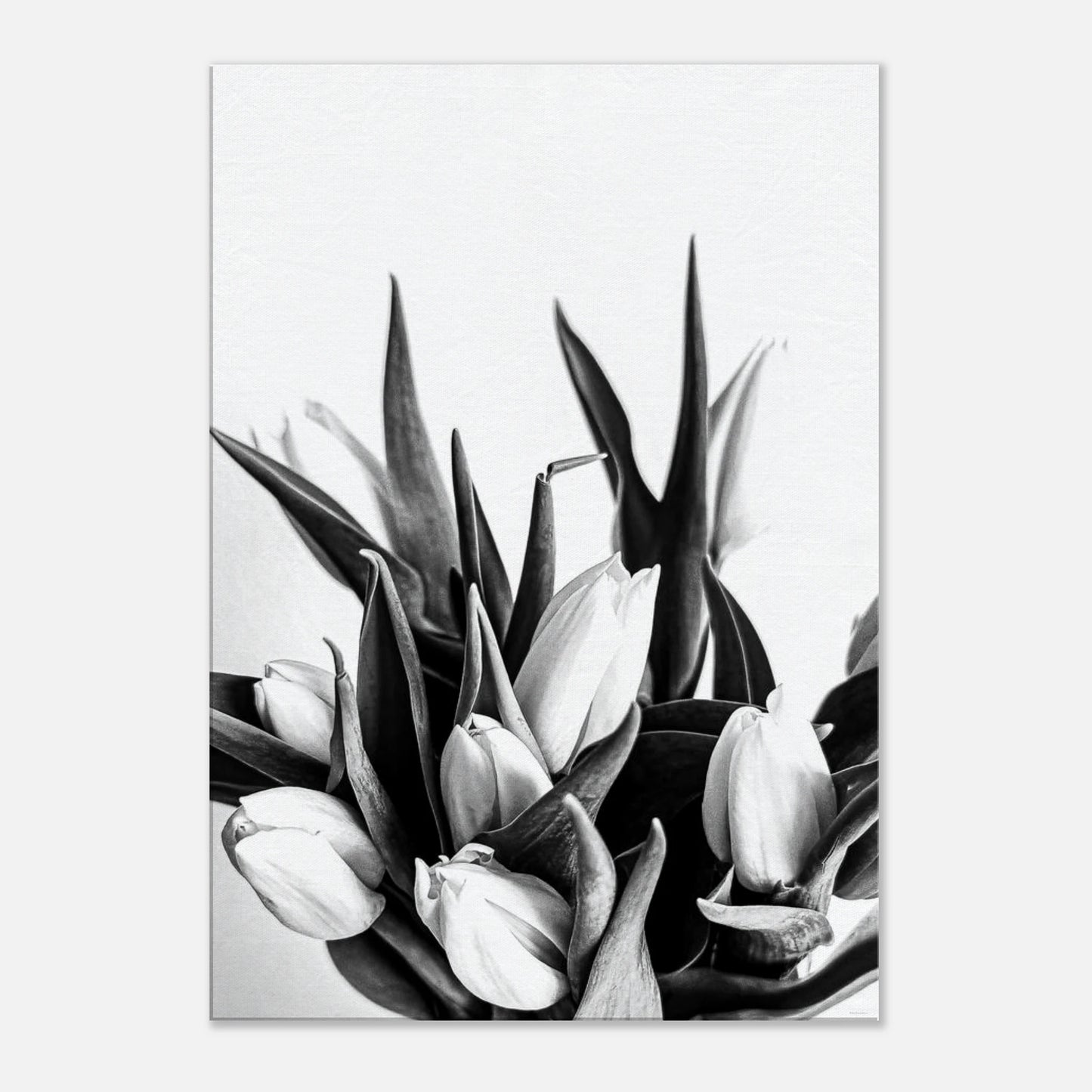 98c9719d-6f7a-4991-b192-b2b2a6f071a4