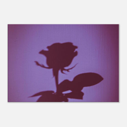 98d7f10d-adfd-4a30-b978-d6ca35b26c37