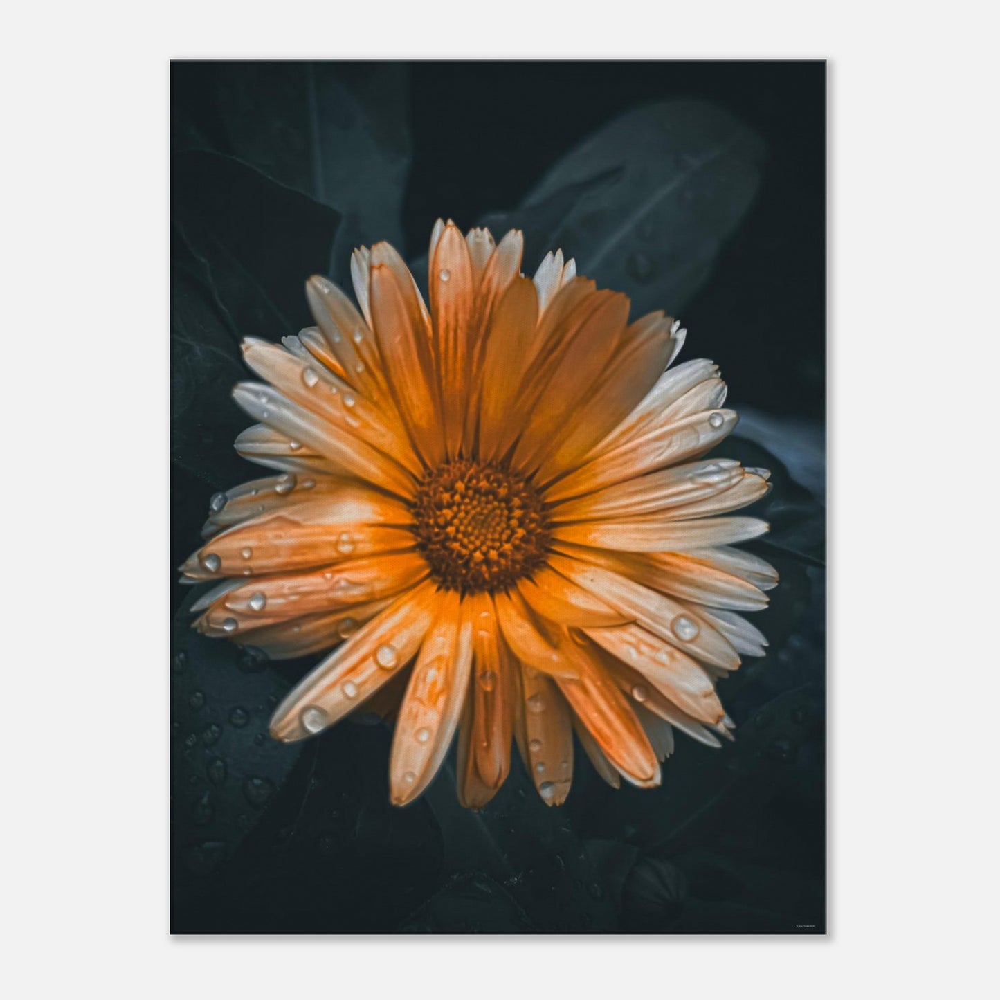 98de3306-96c8-41e2-bda7-3369853916d7