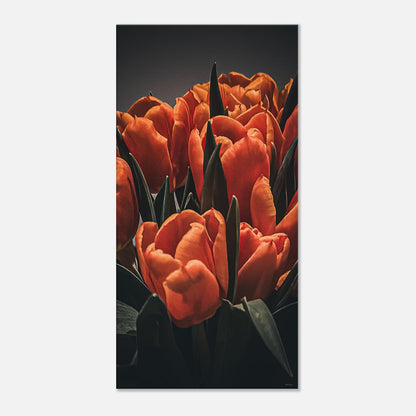 98e307b6-a548-40f9-89e0-5384de5d3175