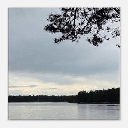 98ecc973-f237-41ee-8957-384b9ff5af6c