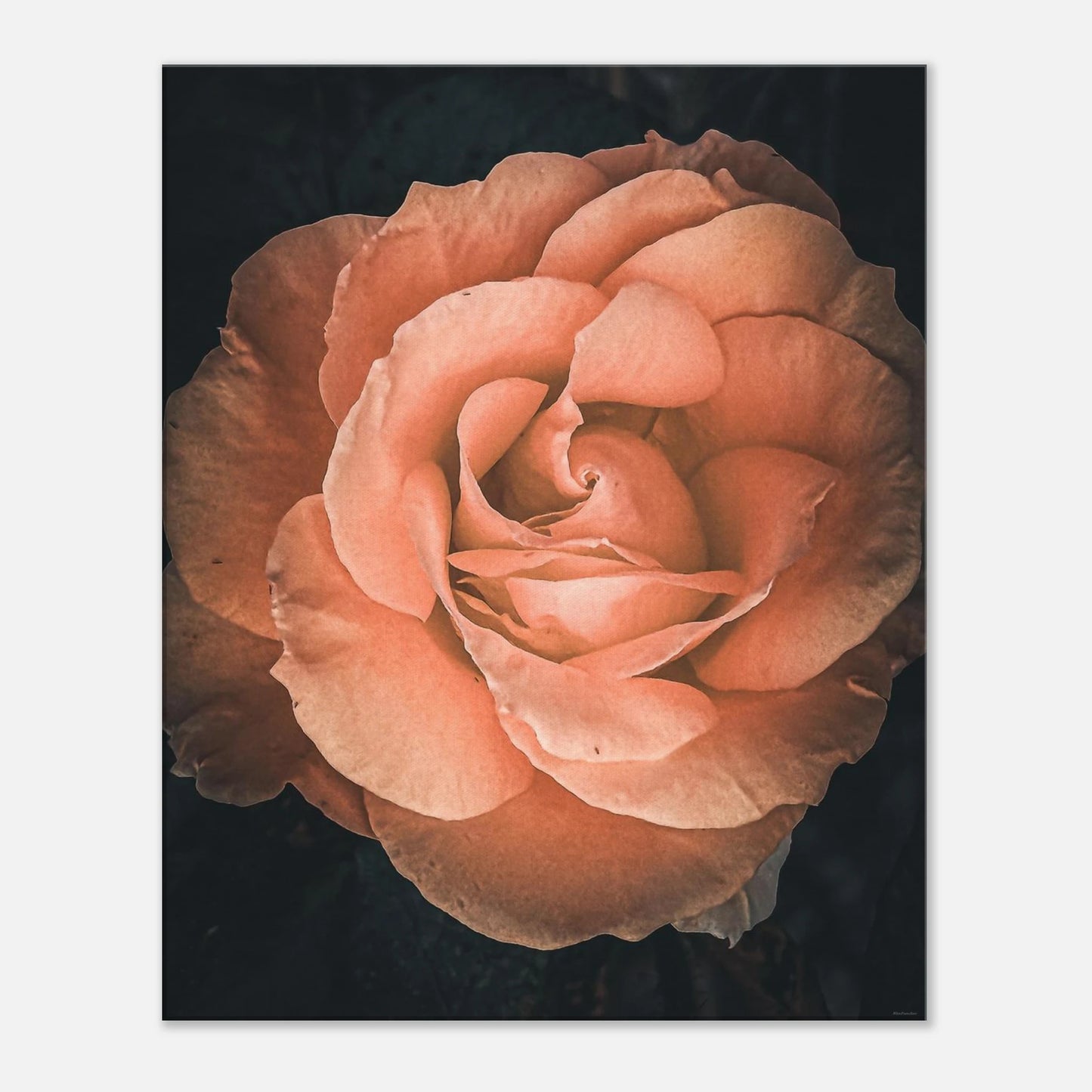 991d7c28-e708-4ea2-98be-df959824b090