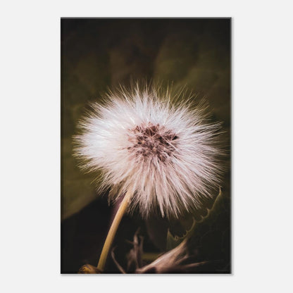 99491602-cf01-4898-bddb-9ea5835d1170