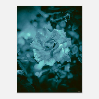 9959406e-39f2-400e-a385-dba1069fca7d