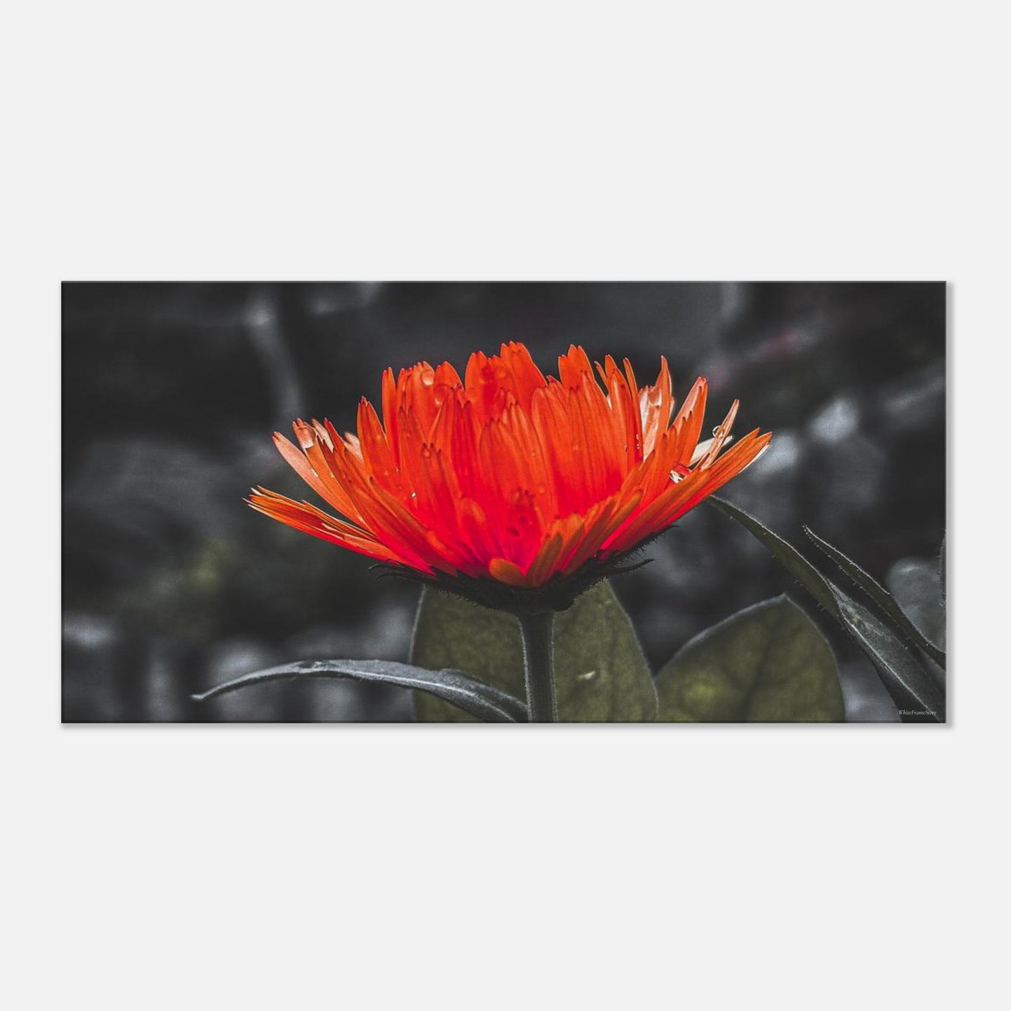 99743b5c-a4ae-4136-876a-46b47437d6ad