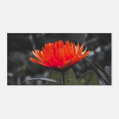 99743b5c-a4ae-4136-876a-46b47437d6ad