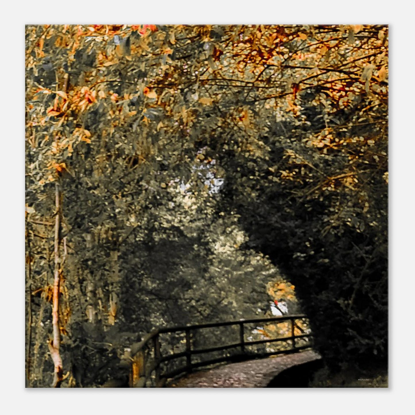 997cb00c-621c-4811-8e87-9e12f7720a33