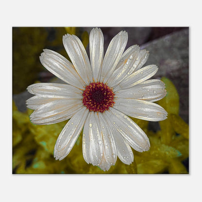 999b226e-1202-4a95-ab3a-765f52665831