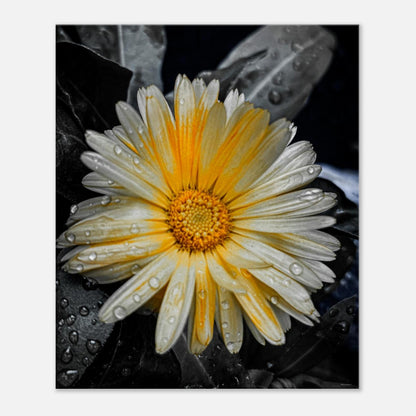 999c5529-1a48-4e10-8cba-8b2692aeb482