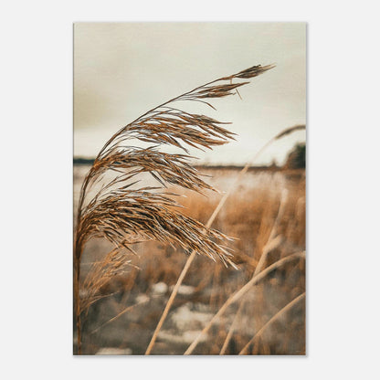 99bd9b18-97cd-4856-ac7c-443af589b61e