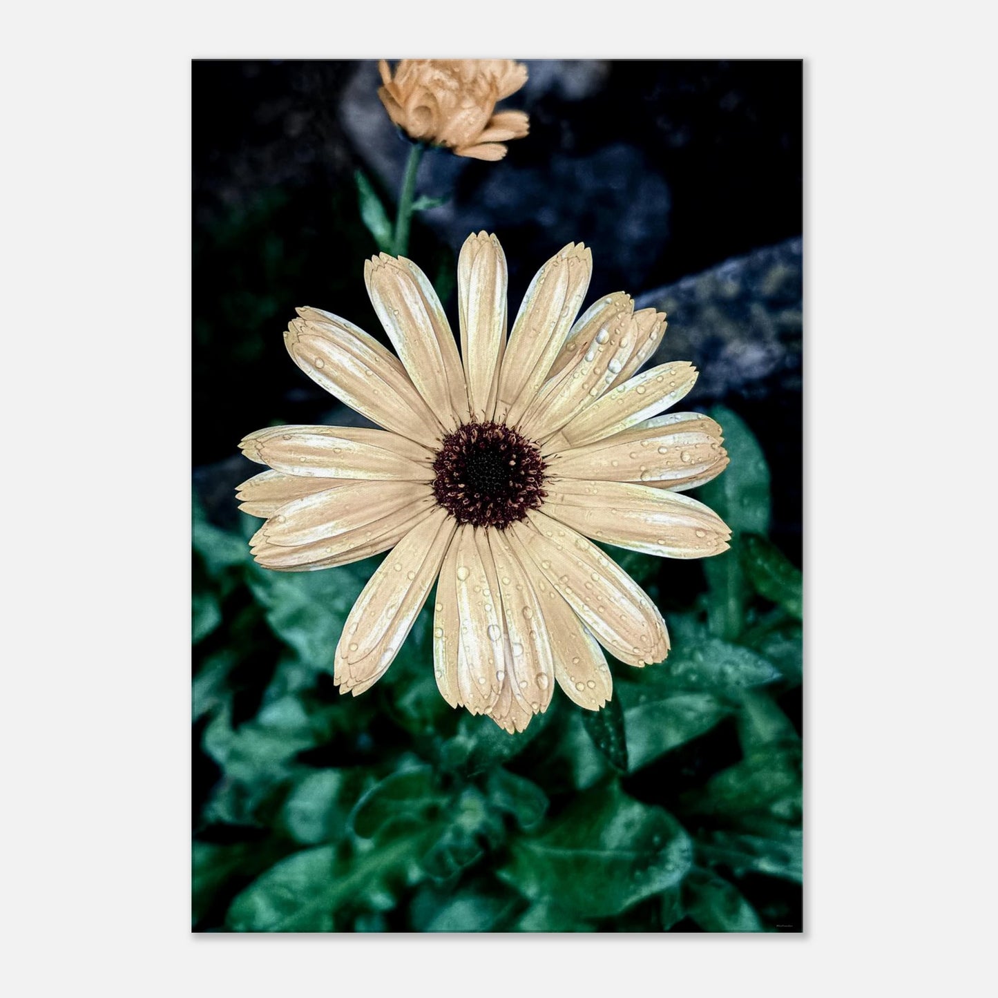 99c81984-3630-4e09-81d0-78e26f72849b