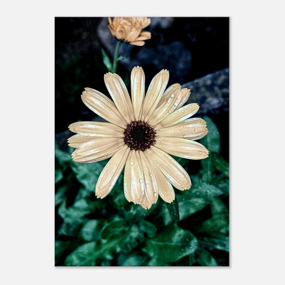 99c81984-3630-4e09-81d0-78e26f72849b