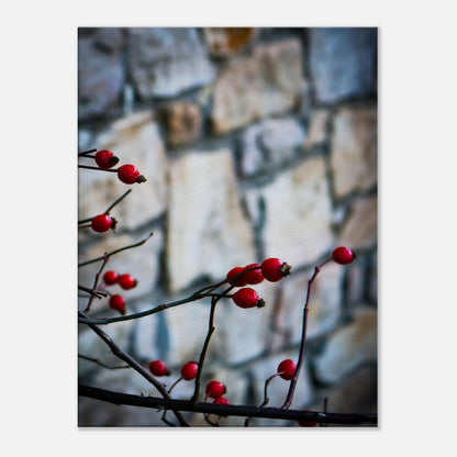 99d0d7db-b56f-4d6e-9559-1136609f22f0