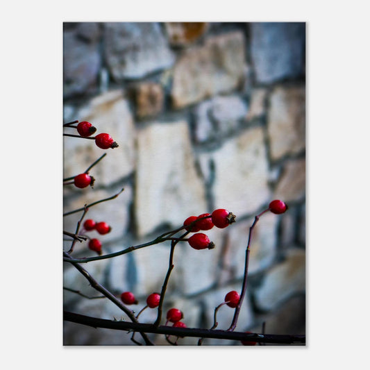 99d0d7db-b56f-4d6e-9559-1136609f22f0