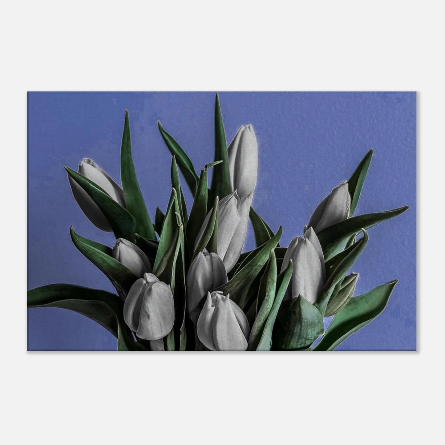 99f37e2d-53b8-45a1-acd1-c73cbe7c9fcd