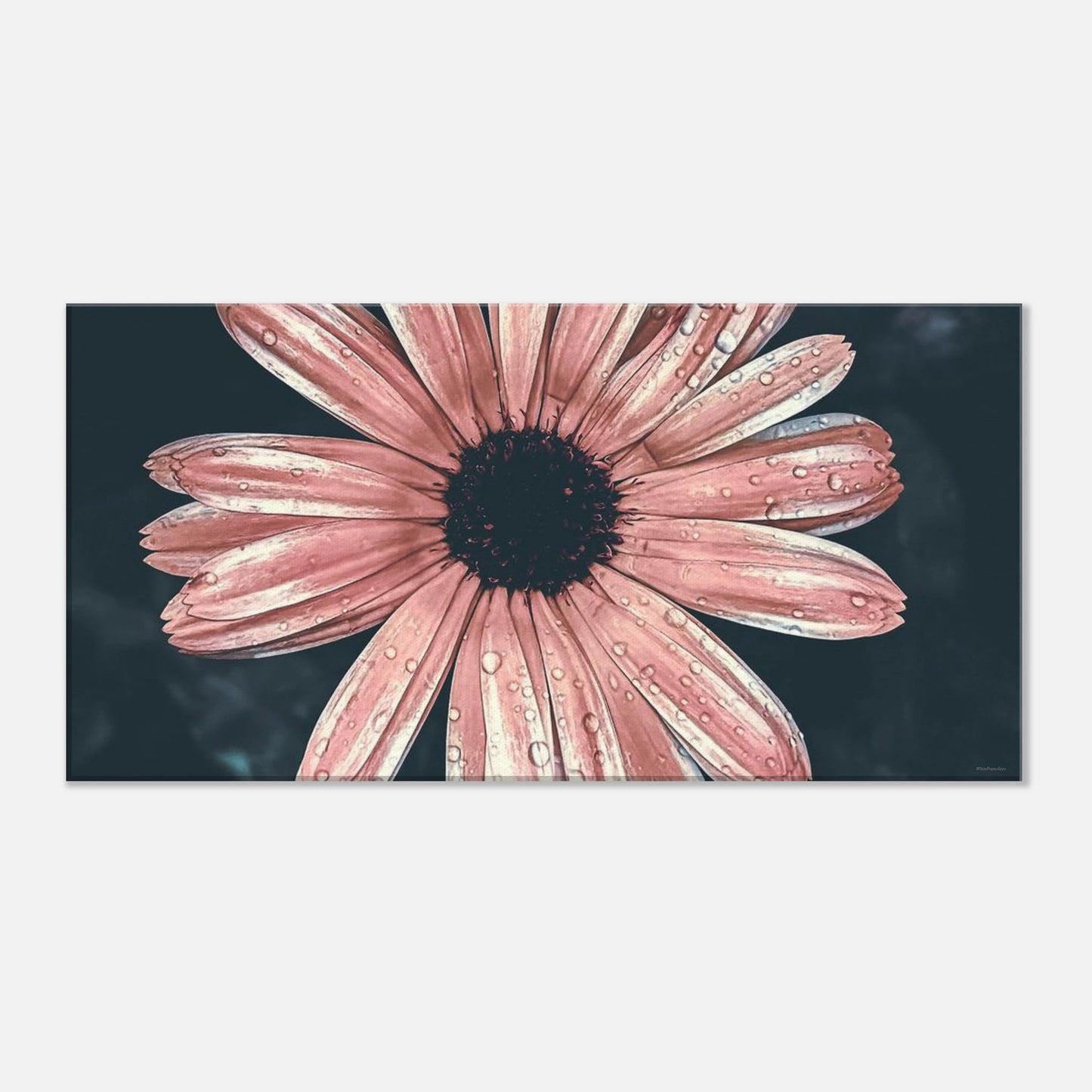 9a048517-b376-4058-a015-d5cc66beef62