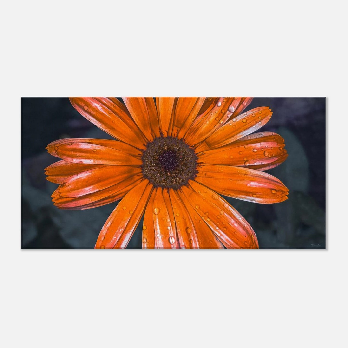 9a1e7b20-87f4-45a7-955c-c8cfef17d921