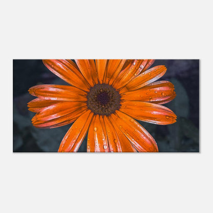 9a1e7b20-87f4-45a7-955c-c8cfef17d921