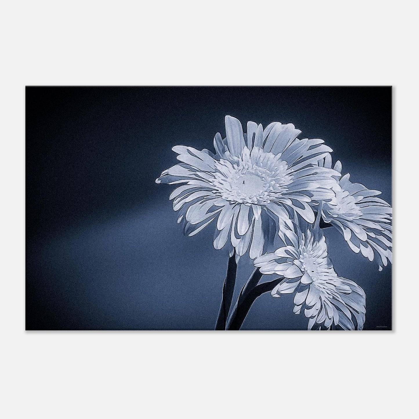 9a20cf56-bc71-44f5-a70d-507a8a1dfa86