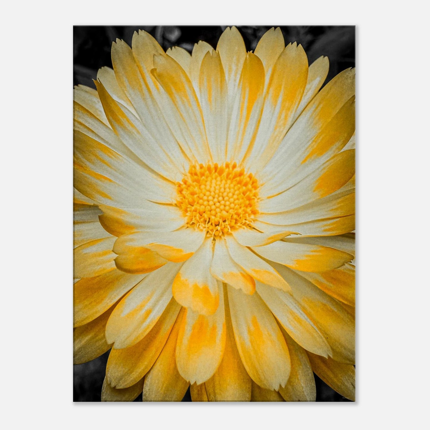 9a79a079-8851-4b25-a506-f1e58a57d59a